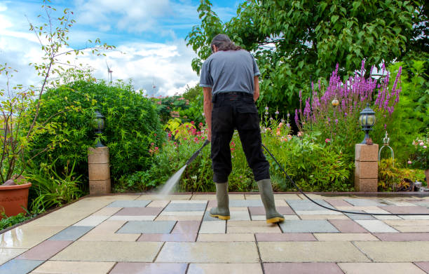 Best Driveway Pressure Washing  in Fort Smith, AR